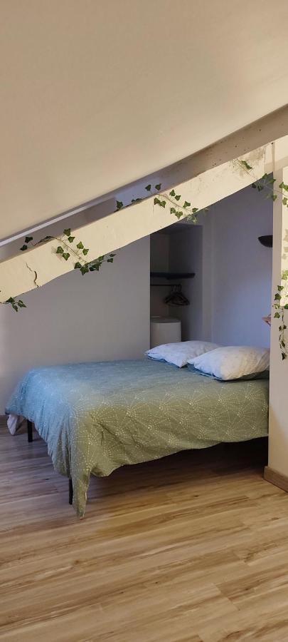 L'Appartement 7 - Centre Ville-Parking-Tv-Wifi 塔布 外观 照片